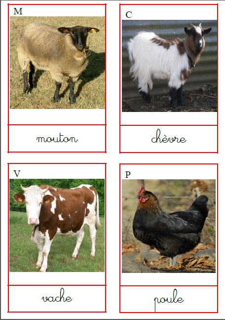 Imagier des animaux de la ferme - Montessori